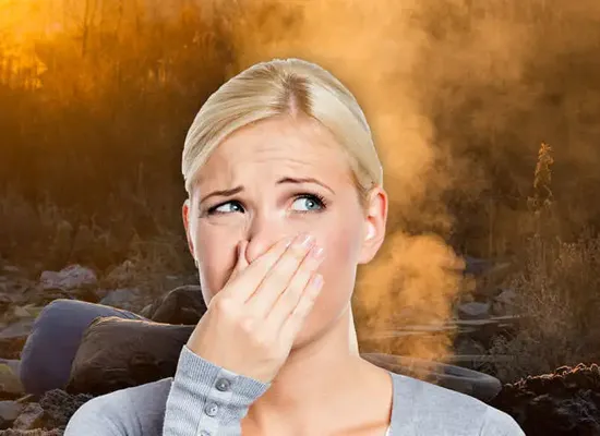 Link zur Geruchsbeseitigung